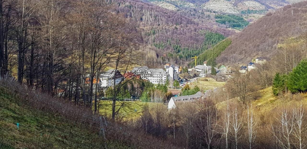 Apartman Cvejic - Suncani Apartmani Brzece Luaran gambar